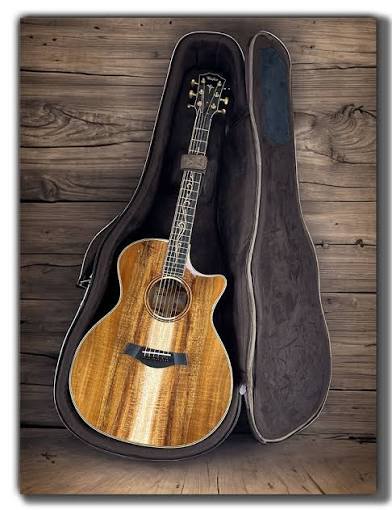 Acoustic Full-Grain Leather Travel Case